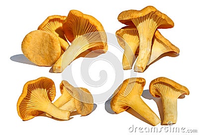 Set of chanterelle mushrooms, isolated on white background Stock Photo