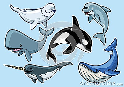 Set of cheerful various of whales Vector Illustration