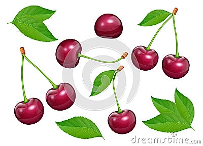 Set of Cherries with green leaf. Fresh, juicy, ripe fruit. Vector Illustration