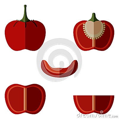 Set of Cherry Pepper. Flat style. Vector. Vector Illustration