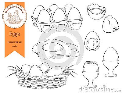 Set chicken eggs. Raw, boiled, fried Vector Illustration