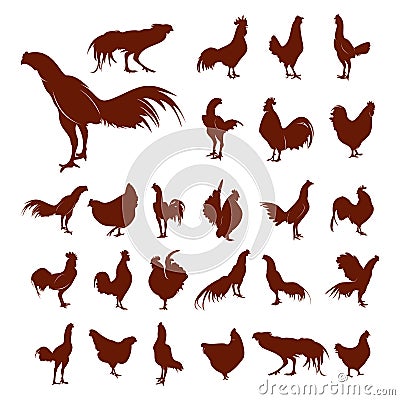 Set of Chicken Logo Vector Illustration. Icon logo chicken bird . Icon Symbol. Silhouette Stock Photo