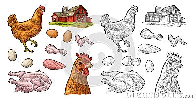 Set chicken. Whole, leg, wing, egg and farm. Vintage engraving Vector Illustration