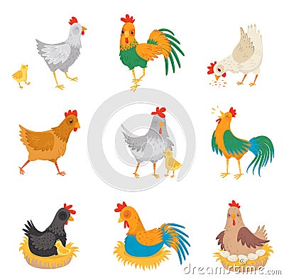 Flat vector set with chickens, little chicks and roosters. Farm birds. Domestic fowl. Elements for advertising poster or Vector Illustration