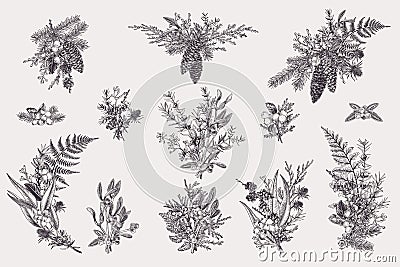 Set with Christmas bouquets Vector Illustration