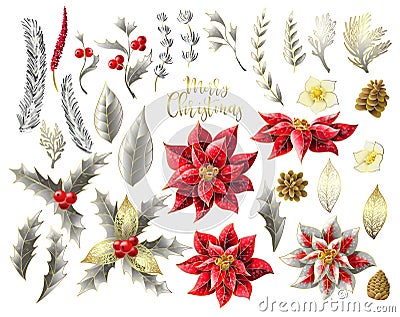 Set of Christmas decor in golden style, such as poinsettia, holly berry, fir-cone, fir branch and other isolated. Vector. Vector Illustration