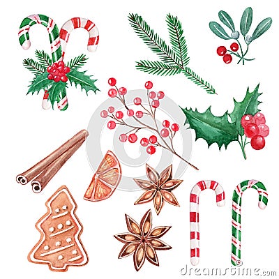 Set of Christmas elements, red berries, lollipops, holly, cinnamon, mistletoe, ginger cookie, hand drawn illustration, watercolor. Cartoon Illustration