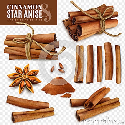 Cinnamon Star Anise Transparent Set Vector Illustration