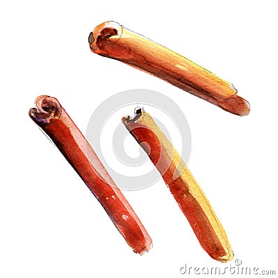 Set of cinnamon sticks, watercolor illustration isolated objects on white background. Hand drawn Cartoon Illustration