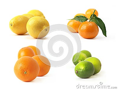 Set of citrus Stock Photo