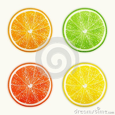 Set of citrus fruits. Orange, Lime, Grapefruit, Lemon. Vector Illustration