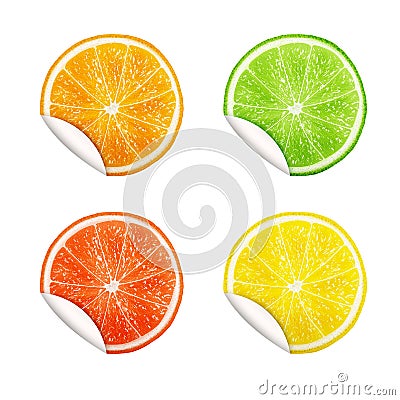 Set of citrus fruits. Orange, Lime, Grapefruit, Lemon. Vector Illustration