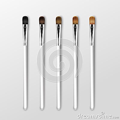 Set of Clean Professional Makeup Eye Shadow Brushes with Different Black Brown Bristle and White Handles Vector Illustration