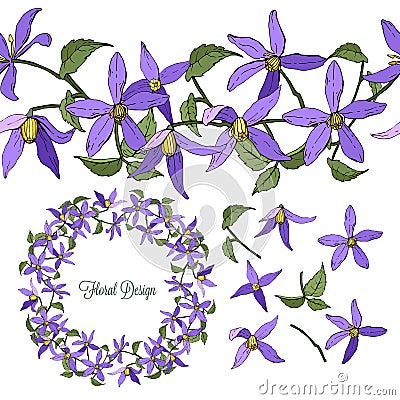 Set of clematis floral elements isolated on white background, wreath and seamless brush of flowers, vector Vector Illustration