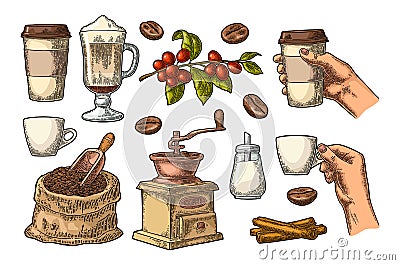 Set coffee. Glass latte, hand hold cup. Vintage engraving Vector Illustration