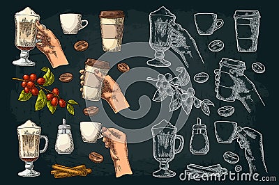 Set coffee. Glass latte, hand hold cup. Branch with beans Vector Illustration