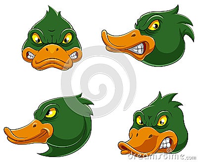 Set collection of angry duck Mascot Vector Illustration