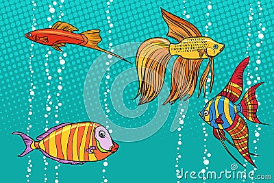 Set collection of aquarium fish Vector Illustration