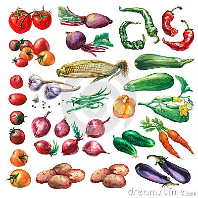 Set, collection of fresh vegetables. Stock Photo