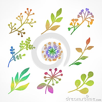 Set of color branch silhouettes on white Vector Illustration