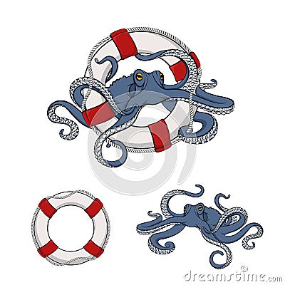 Set of color images of octopus in the lifeline. EPS10 Vector Illustration