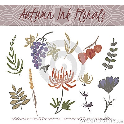 Set of color ink autumn florals with chrysanthemum and grape. Vector Illustration