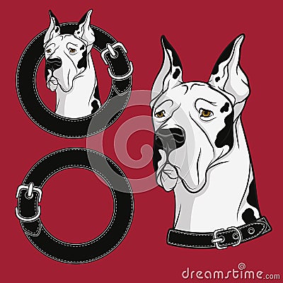 A set of color vector drawing of the dog in the collar. EPS10 Vector Illustration