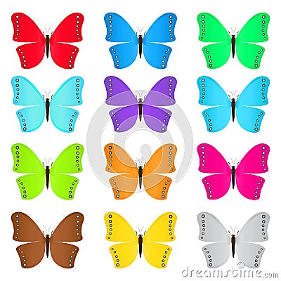 Set of colored butterflies Vector Illustration