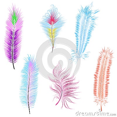 set of colored feathers isolated vector Vector Illustration