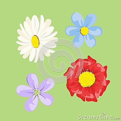 Set of colored flowers Vector Illustration