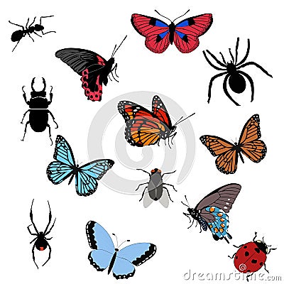 Set of colored icons insects. collection of butterflies, beetles Vector Illustration