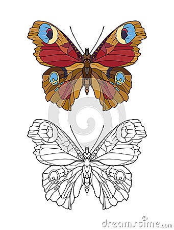 Set of colored and outline butterfly. Vector Illustration