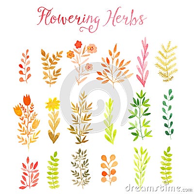 Set of colorful autumn leaves. Vector illustration.vector set of red autumn watercolor leaves and berries, hand drawn design Vector Illustration