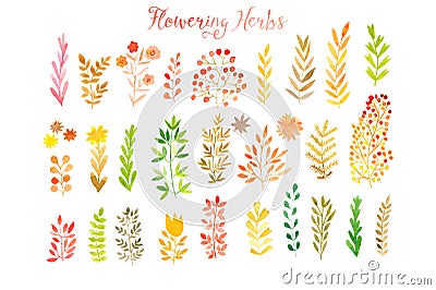 Set of colorful autumn leaves. Vector illustration.vector set of red autumn watercolor leaves and berries, hand drawn design Vector Illustration