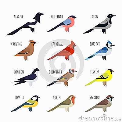 Set of Colorful bird icons. Cardinal, magpie, sparrow Vector Illustration