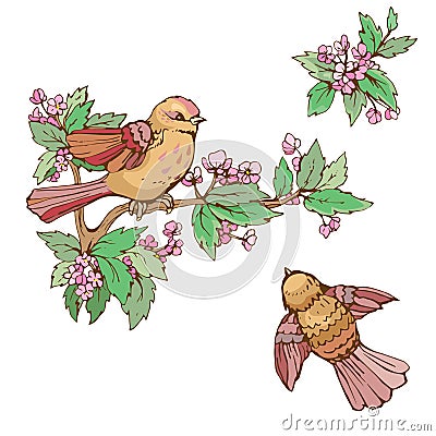 Set of colorful birds and blooming summer flowers, on w Vector Illustration