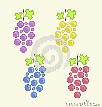 Set Colorful Bunches of Grape Vector Illustration