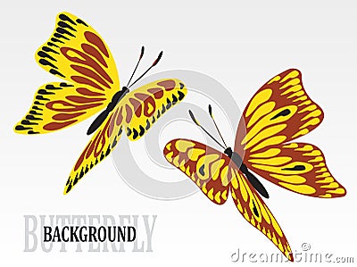 Set of colorful butterflies Vector Illustration