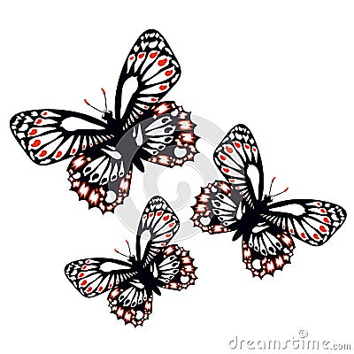 Set of colorful butterflies Vector Illustration