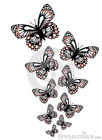 Set of colorful butterflies Vector Illustration