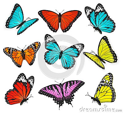 Set of colorful butterflies vector Vector Illustration