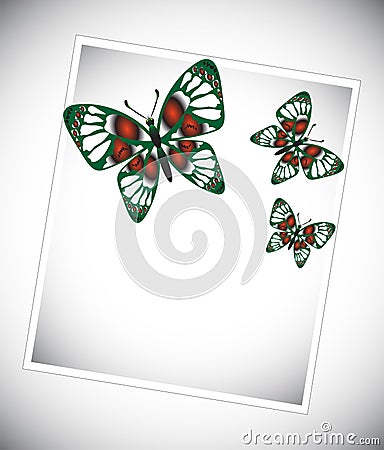 Set of colorful butterflies Vector Illustration