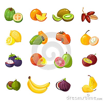 Set of colorful cartoon fruits isolated on white background. Tropical vector fruits illustration Vector Illustration