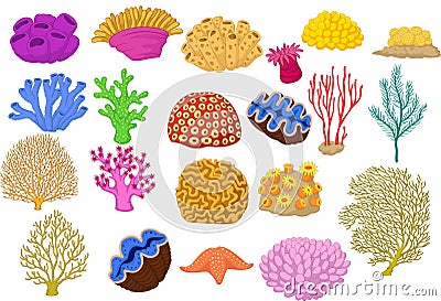 Set of colorful corals, clamp and starfish Vector Illustration
