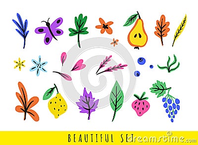 Set of colorful different leaves, flowers, berries, fruits, butterfly and petals Vector Illustration