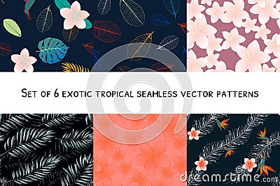 Set with colorful floral tropic desin seamless patterns. Wild flowers and leaves background Vector Illustration