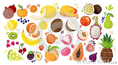 Set of colorful hand draw fruits - tropical sweet fruits, and citrus fruit illustration. Apple, pear, orange, banana Vector Illustration