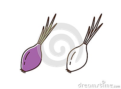 Set of colorful and monochrome red onion vector flat illustration. Natural organic farm vegetable with big root and stem Vector Illustration