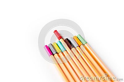 Set of colorful school markers as a symbol of education aims in fostering individuality and originality of individuals Stock Photo