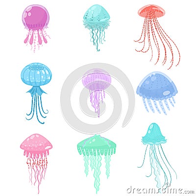 Set of colorful sea and ocean jellyfish marine creature Vector Illustration